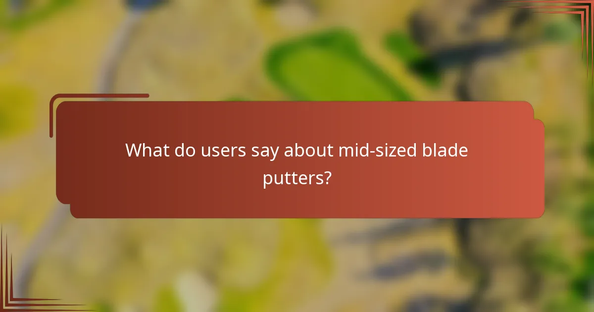 What do users say about mid-sized blade putters?