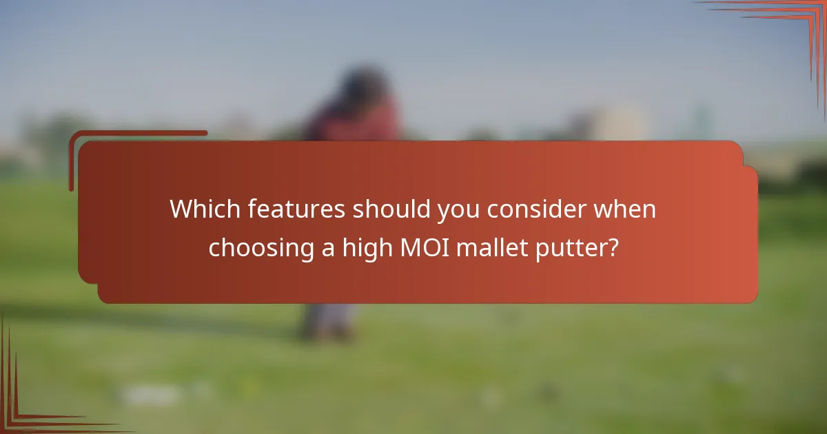 Which features should you consider when choosing a high MOI mallet putter?