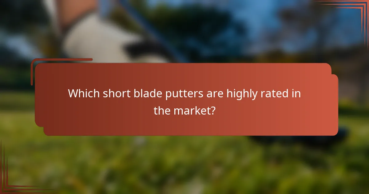Which short blade putters are highly rated in the market?